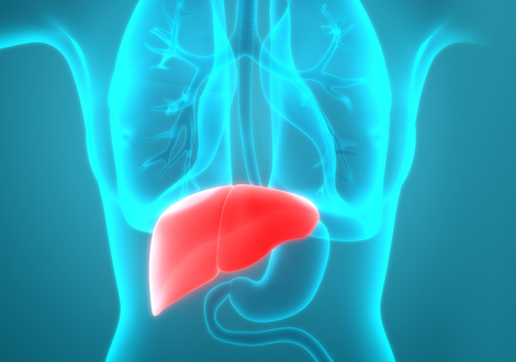 Richtige Ernährung für die Leber | Dr. Loges