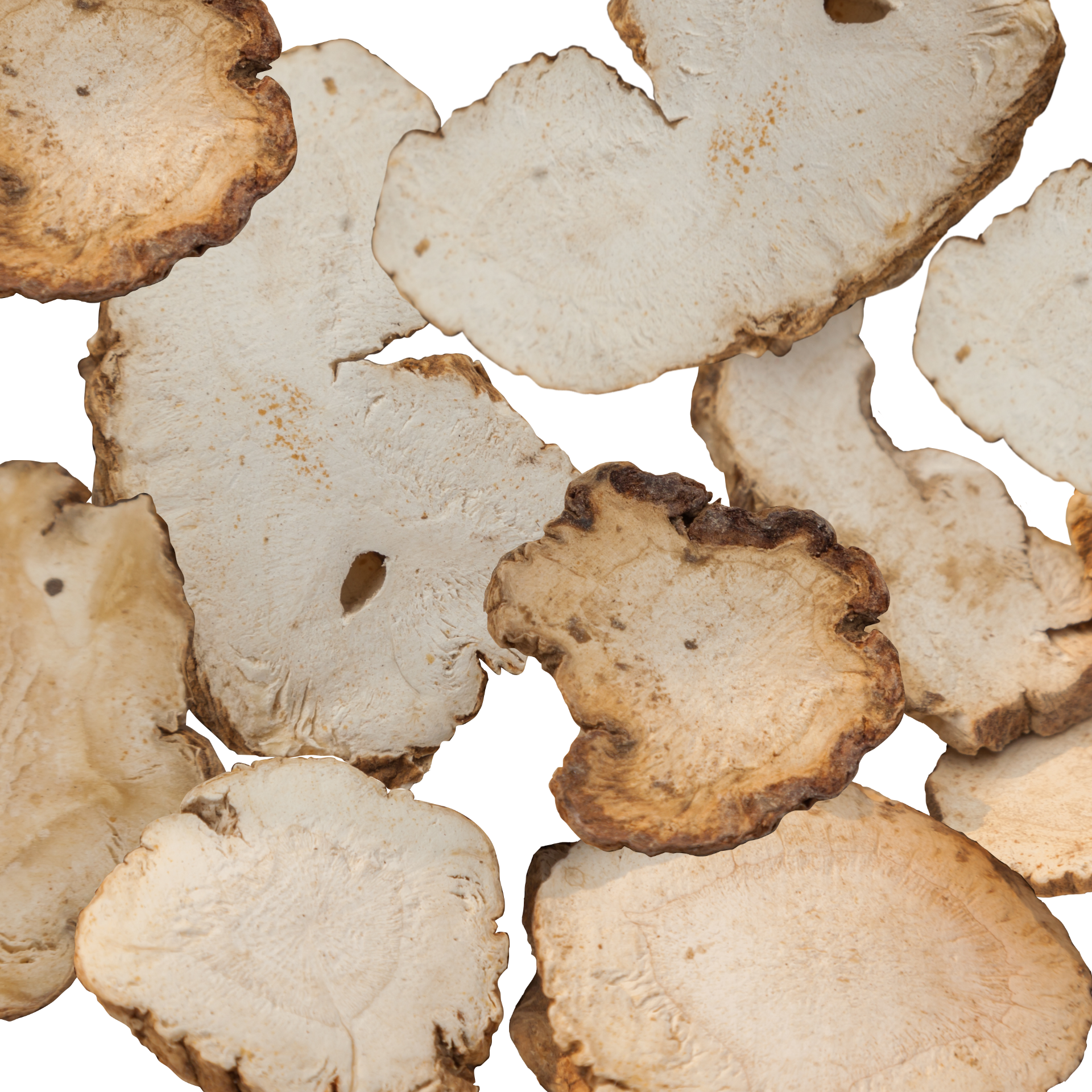 Brasilianischer Ginseng