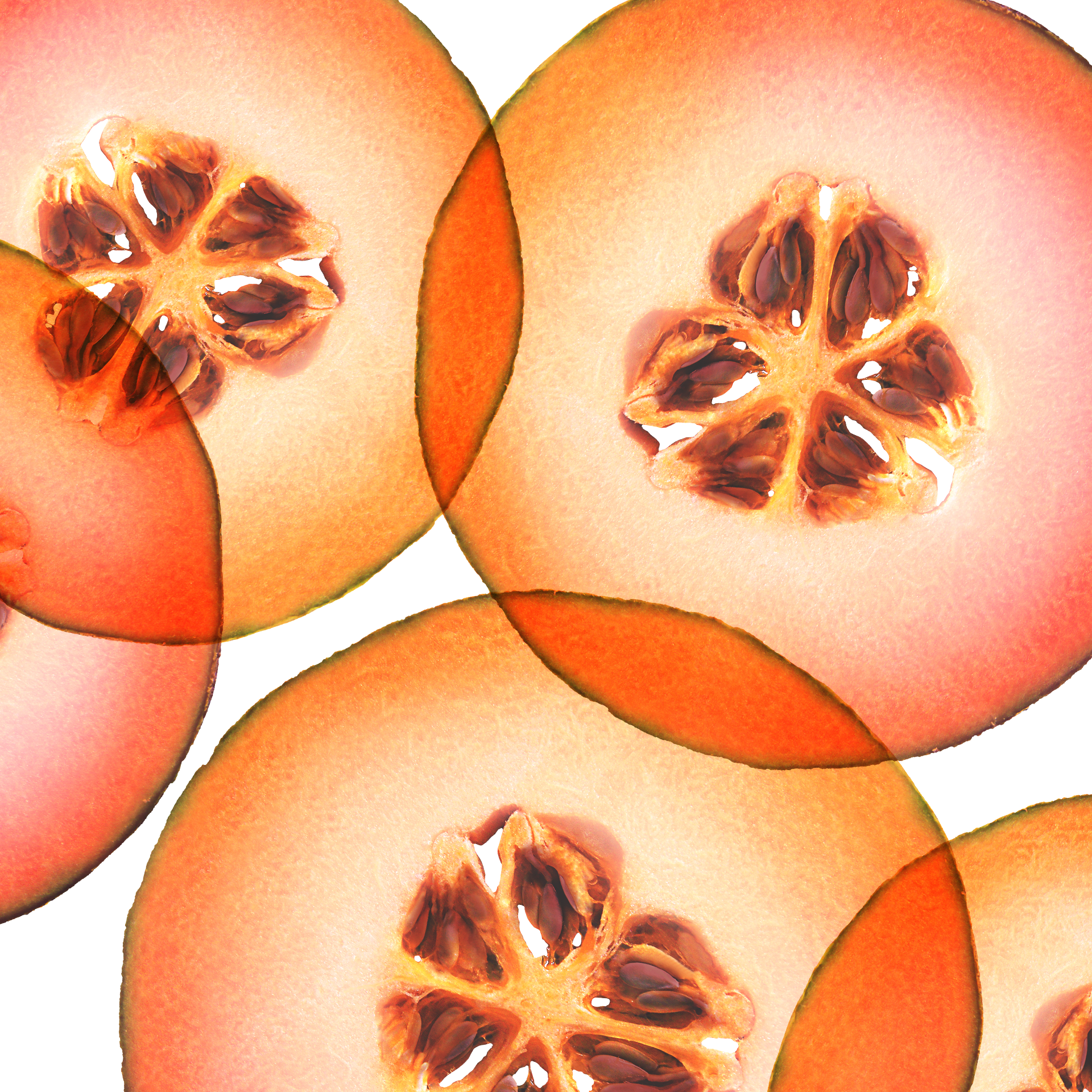 Cantaloupe-Melone